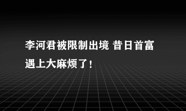 李河君被限制出境 昔日首富遇上大麻烦了！