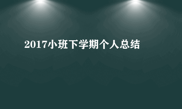 2017小班下学期个人总结