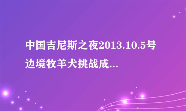 中国吉尼斯之夜2013.10.5号边境牧羊犬挑战成功时放的音乐是什么