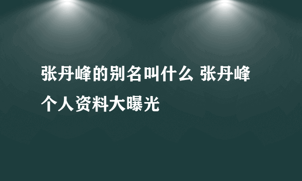 张丹峰的别名叫什么 张丹峰个人资料大曝光