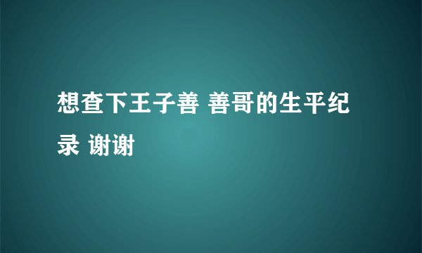 想查下王子善 善哥的生平纪录 谢谢