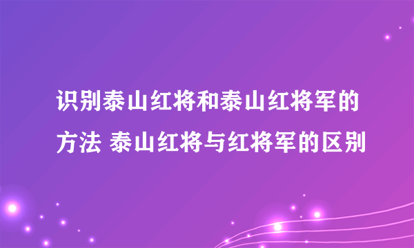 识别泰山红将和泰山红将军的方法 泰山红将与红将军的区别