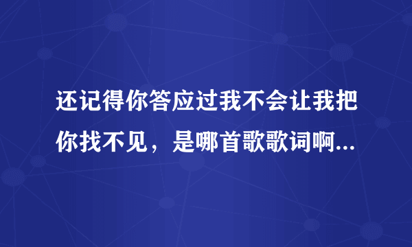 还记得你答应过我不会让我把你找不见，是哪首歌歌词啊？？？？？在线等