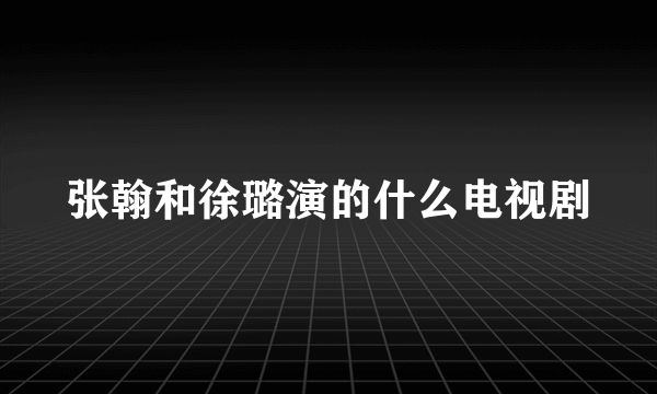 张翰和徐璐演的什么电视剧