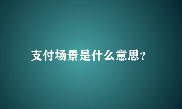 支付场景是什么意思？