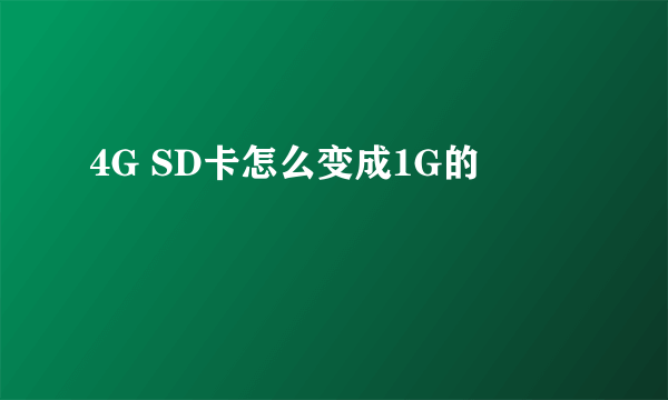 4G SD卡怎么变成1G的