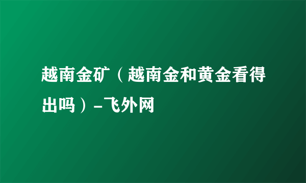 越南金矿（越南金和黄金看得出吗）-飞外网