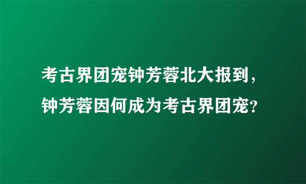 考古界团宠钟芳蓉北大报到，钟芳蓉因何成为考古界团宠？