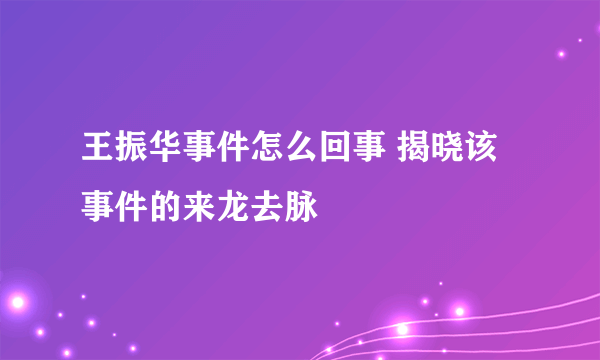 王振华事件怎么回事 揭晓该事件的来龙去脉