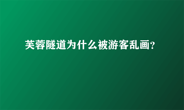 芙蓉隧道为什么被游客乱画？