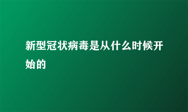 新型冠状病毒是从什么时候开始的