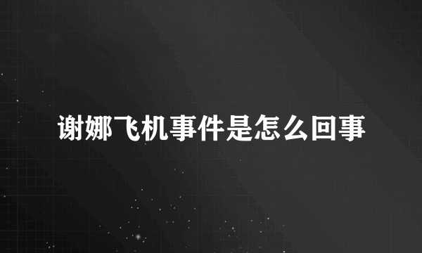 谢娜飞机事件是怎么回事