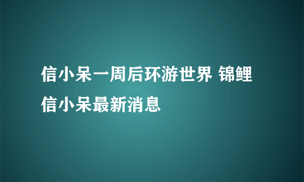 信小呆一周后环游世界 锦鲤信小呆最新消息