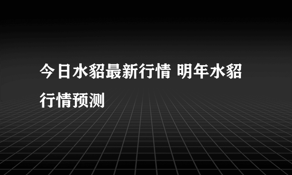 今日水貂最新行情 明年水貂行情预测