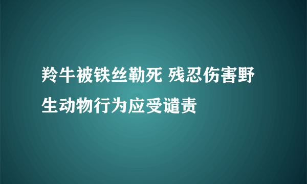 羚牛被铁丝勒死 残忍伤害野生动物行为应受谴责