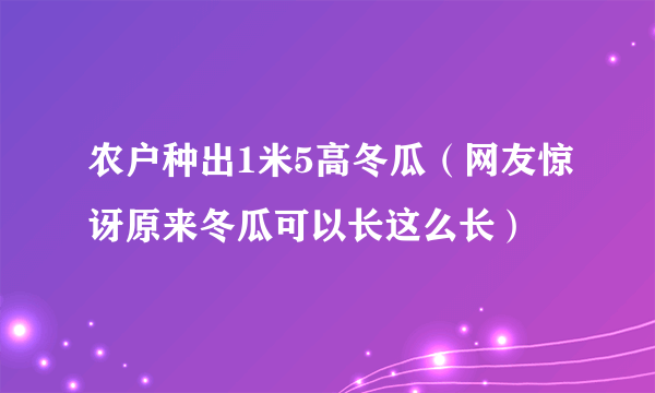 农户种出1米5高冬瓜（网友惊讶原来冬瓜可以长这么长）