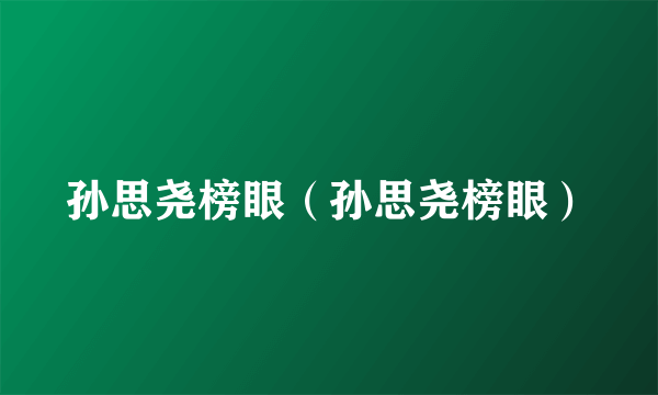 孙思尧榜眼（孙思尧榜眼）