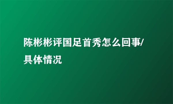 陈彬彬评国足首秀怎么回事/具体情况