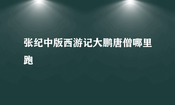 张纪中版西游记大鹏唐僧哪里跑