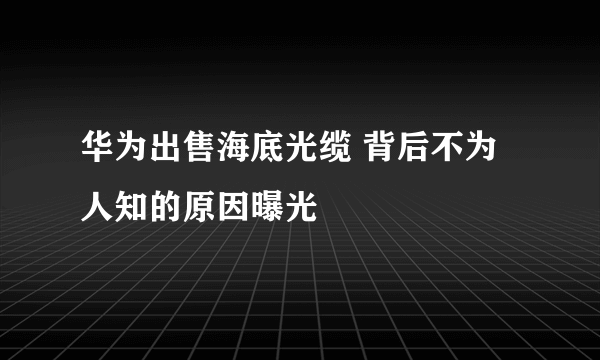 华为出售海底光缆 背后不为人知的原因曝光