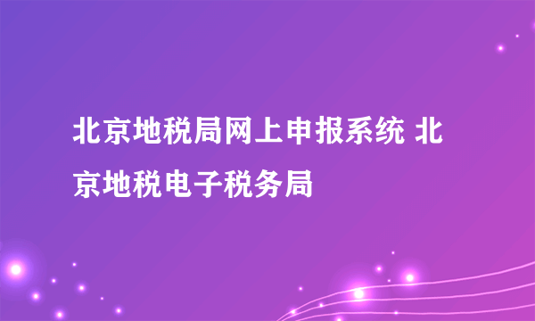 北京地税局网上申报系统 北京地税电子税务局