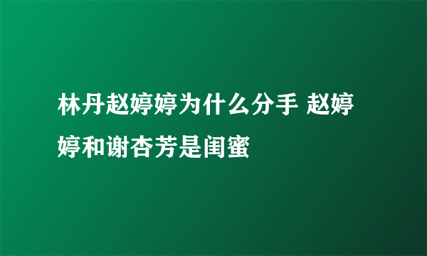 林丹赵婷婷为什么分手 赵婷婷和谢杏芳是闺蜜