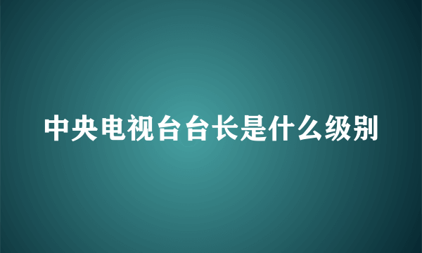 中央电视台台长是什么级别