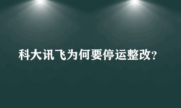 科大讯飞为何要停运整改？