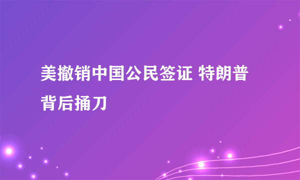 美撤销中国公民签证 特朗普背后捅刀