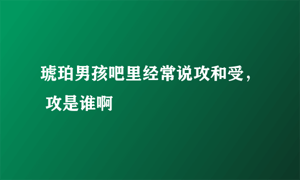 琥珀男孩吧里经常说攻和受， 攻是谁啊