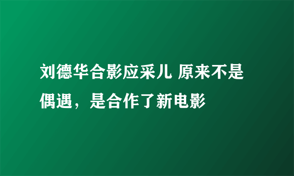 刘德华合影应采儿 原来不是偶遇，是合作了新电影