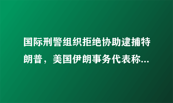 国际刑警组织拒绝协助逮捕特朗普，美国伊朗事务代表称这只是一个宣传噱头