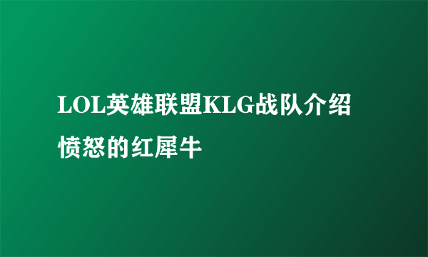 LOL英雄联盟KLG战队介绍 愤怒的红犀牛