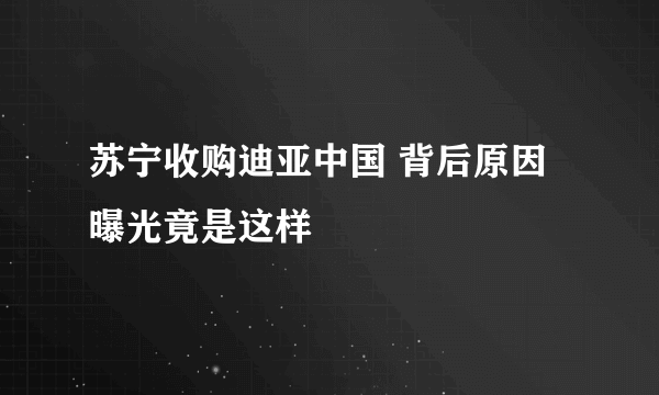 苏宁收购迪亚中国 背后原因曝光竟是这样