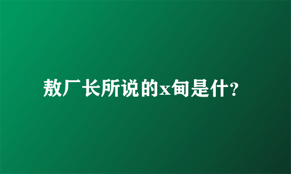 敖厂长所说的x甸是什？