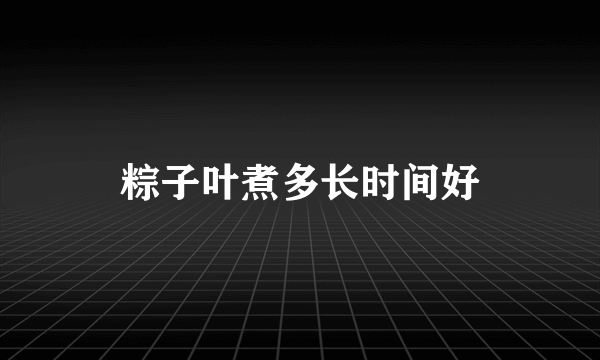 粽子叶煮多长时间好