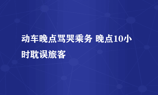 动车晚点骂哭乘务 晚点10小时耽误旅客