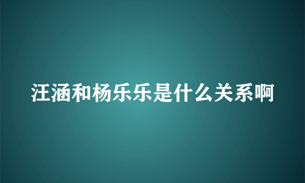 汪涵和杨乐乐是什么关系啊