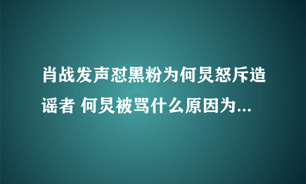 肖战发声怼黑粉为何炅怒斥造谣者 何炅被骂什么原因为何帮肖战