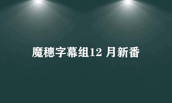 魔穗字幕组12 月新番