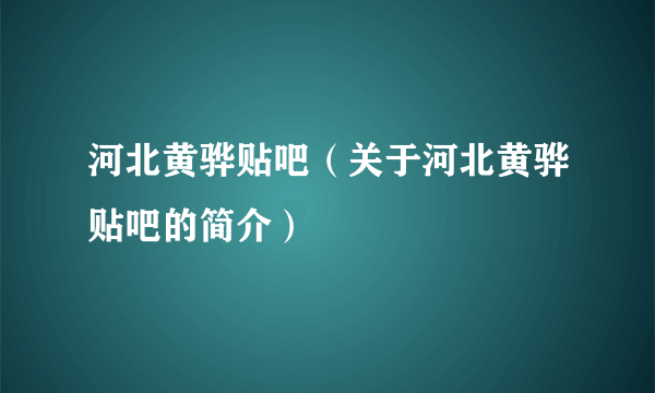 河北黄骅贴吧（关于河北黄骅贴吧的简介）