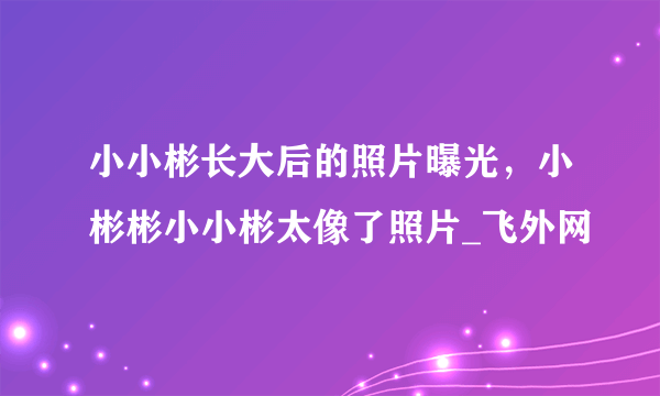 小小彬长大后的照片曝光，小彬彬小小彬太像了照片_飞外网