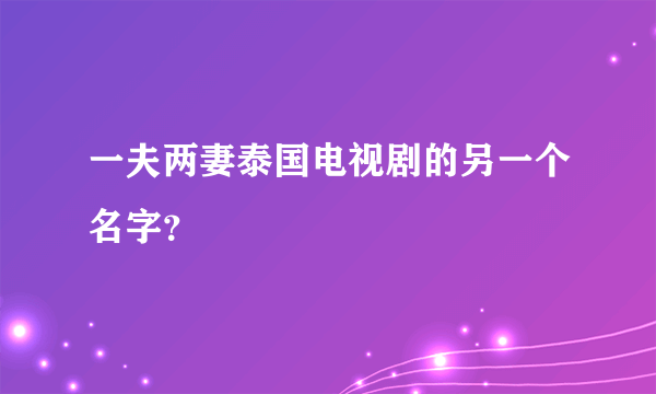 一夫两妻泰国电视剧的另一个名字？