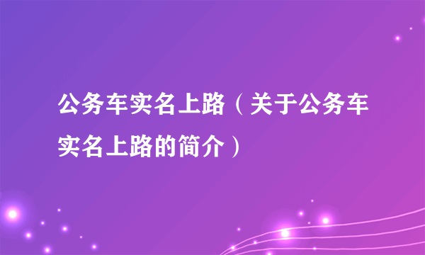 公务车实名上路（关于公务车实名上路的简介）