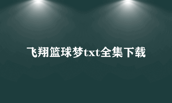 飞翔篮球梦txt全集下载