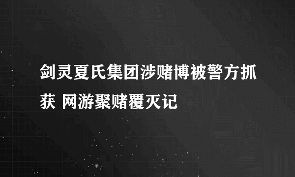 剑灵夏氏集团涉赌博被警方抓获 网游聚赌覆灭记