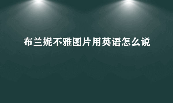 布兰妮不雅图片用英语怎么说