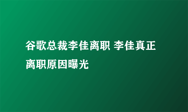 谷歌总裁李佳离职 李佳真正离职原因曝光