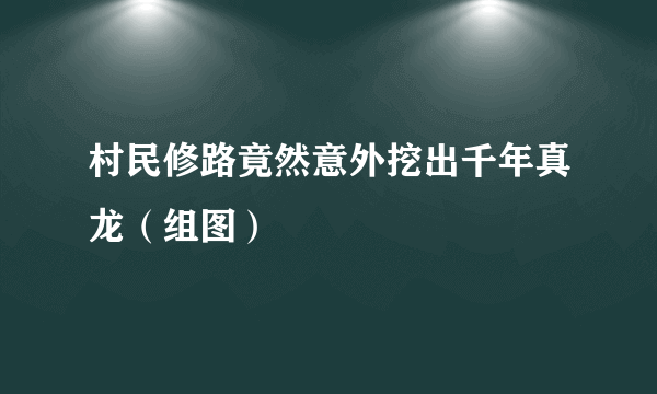 村民修路竟然意外挖出千年真龙（组图）