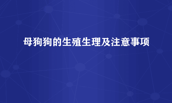 母狗狗的生殖生理及注意事项